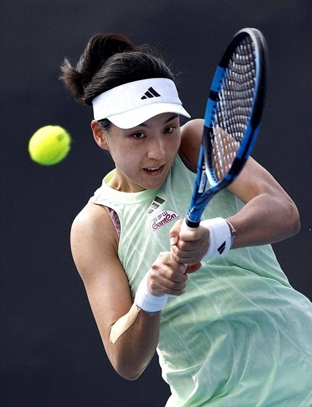 詹姆斯的反 詹姆斯的反