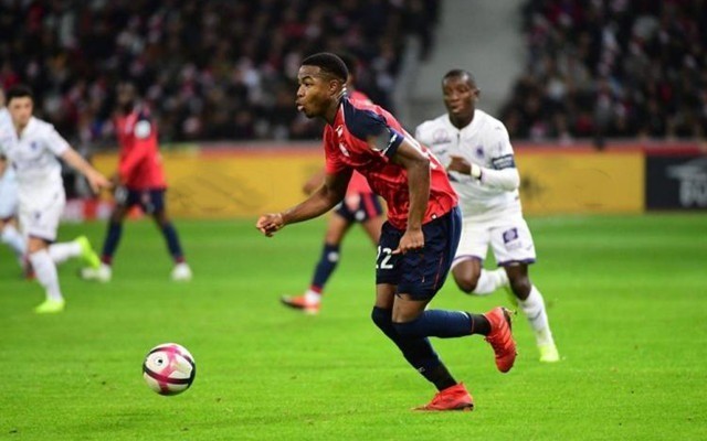 竟然无一例 竟然无一例